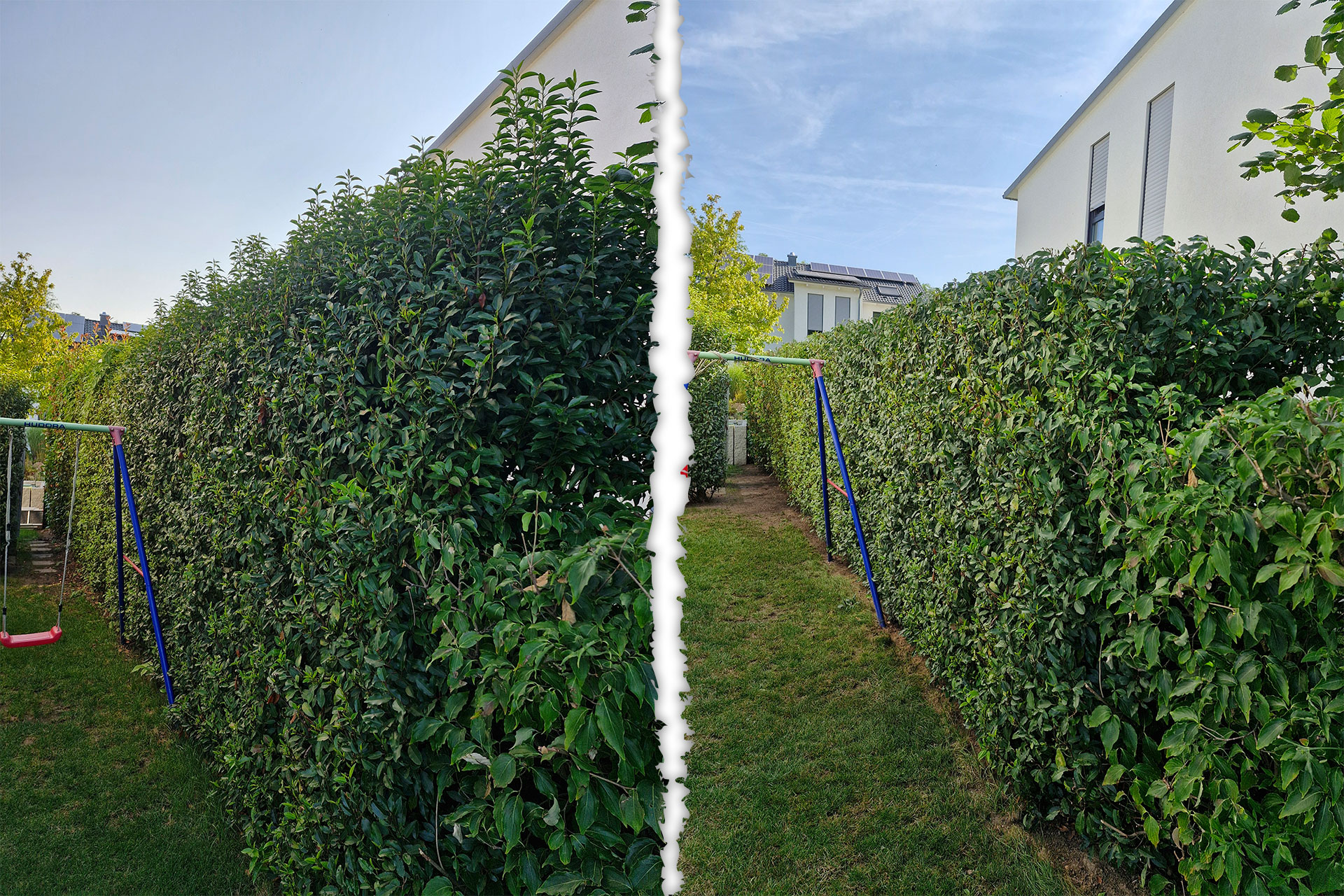 galerie-011-kombi-hecke-schaukel-20240725_073851-20240725_100256