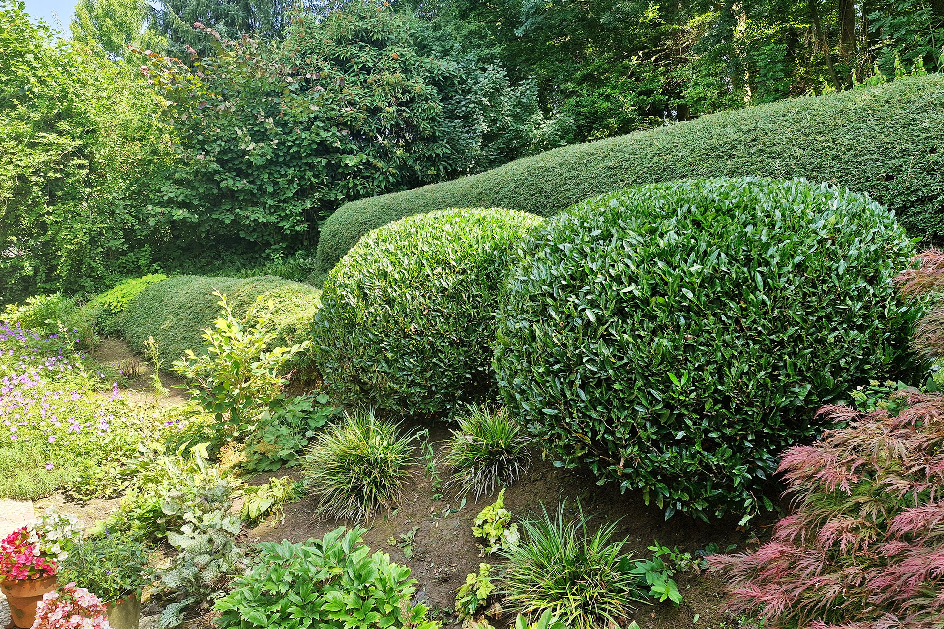 Wohlfühlgärten & gepflegte Außenbereiche