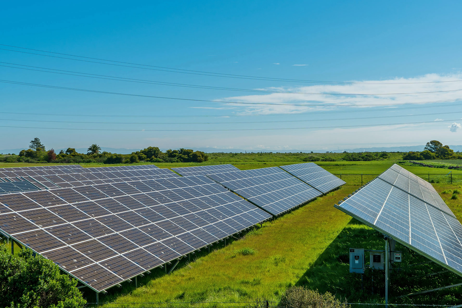 Wir mähen Wiesen und Rasen auf schwer erreichbaren Flächen in Solarparks.
